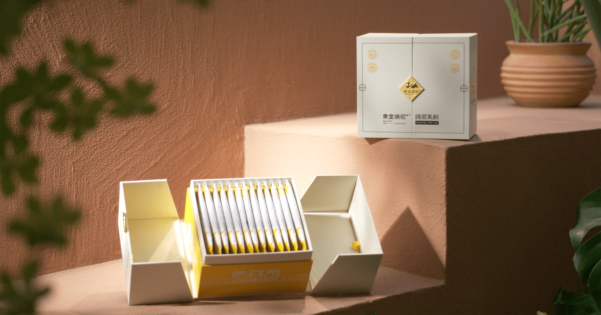 定位小众高端乳粉，AG庄闲推出驼奶品牌“黄金骆驼+”，角逐乳品新市场！